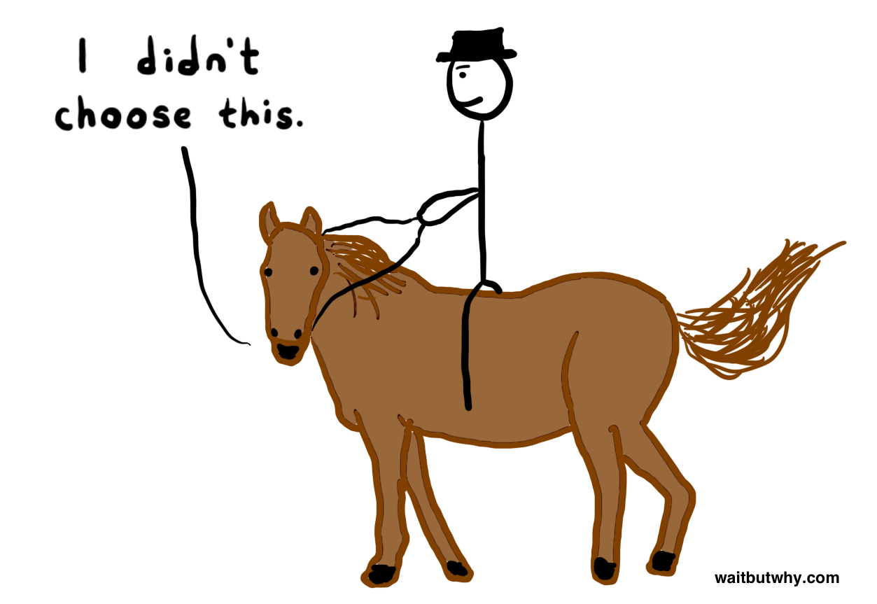Horse hand