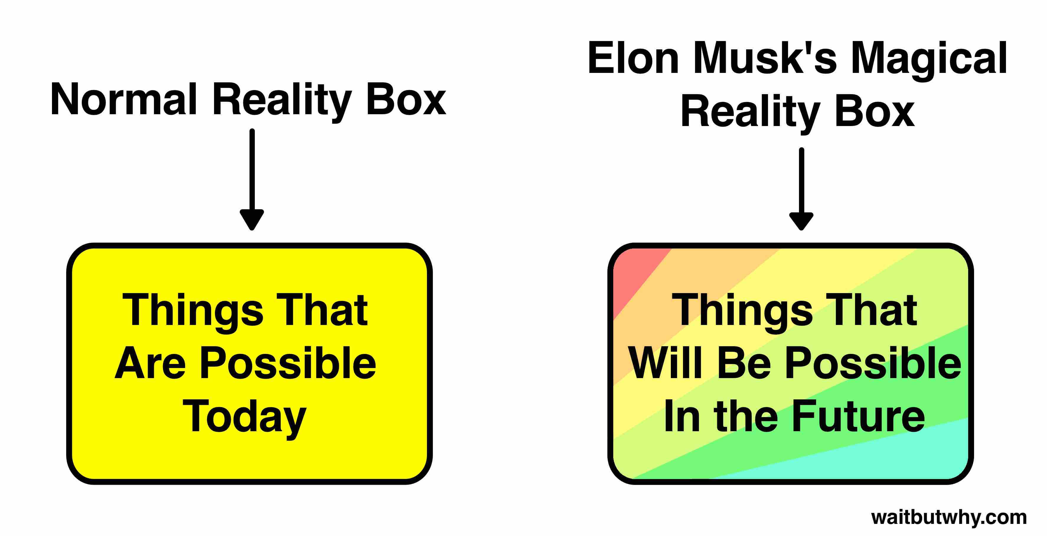 Musk Visionary 1