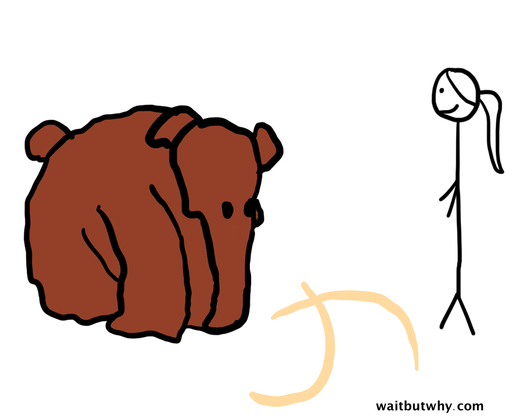 medium mammoth